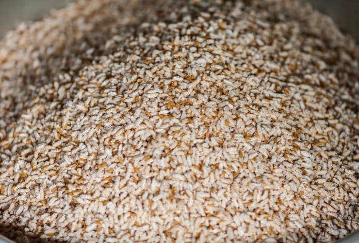 Pipoca de Arroz Integral